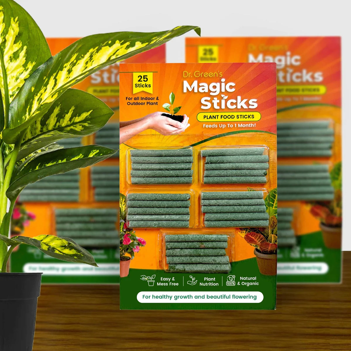 Magic Plant Sticks