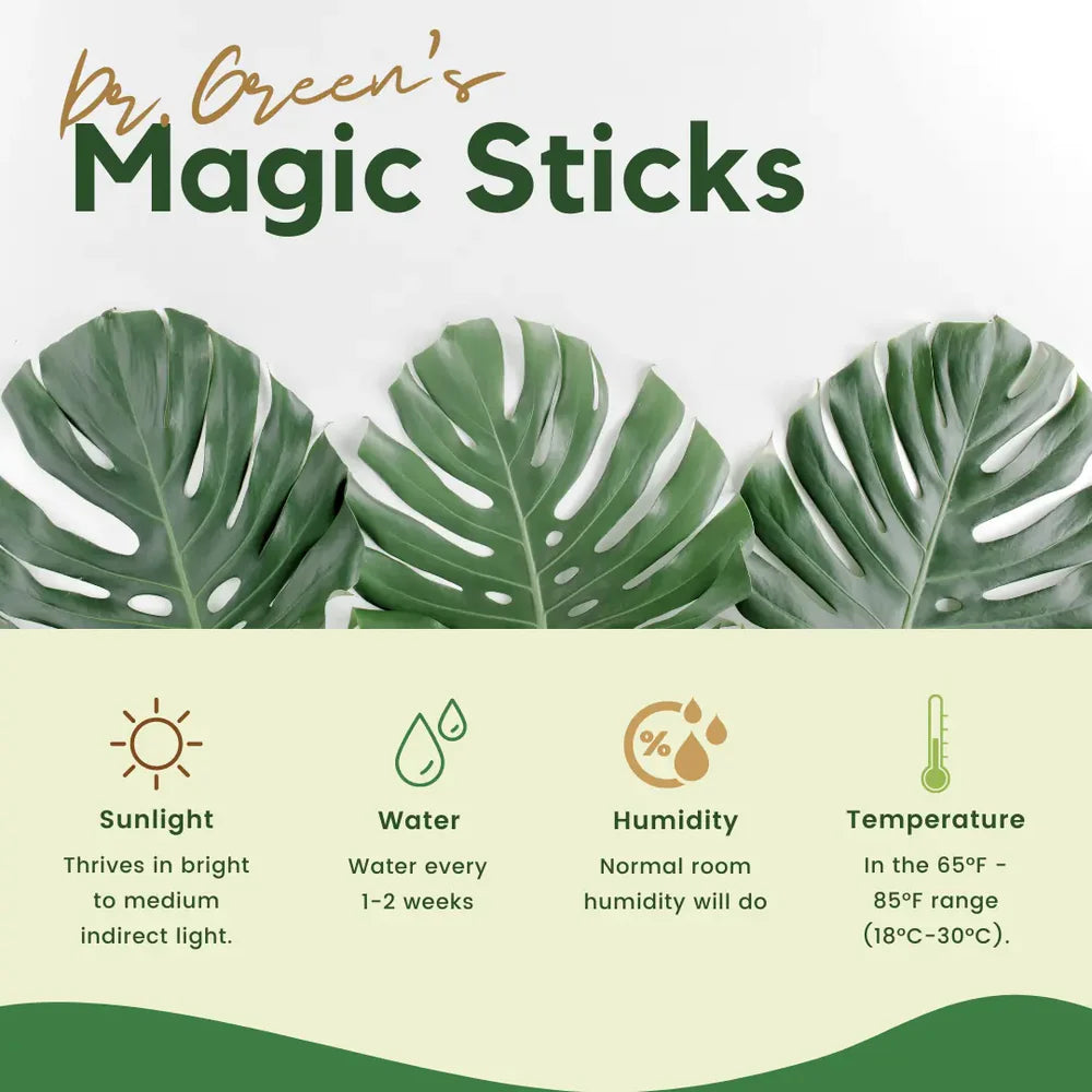 Magic Plant Sticks