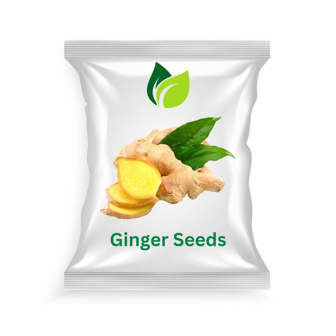 Flavorful Ginger Seeds