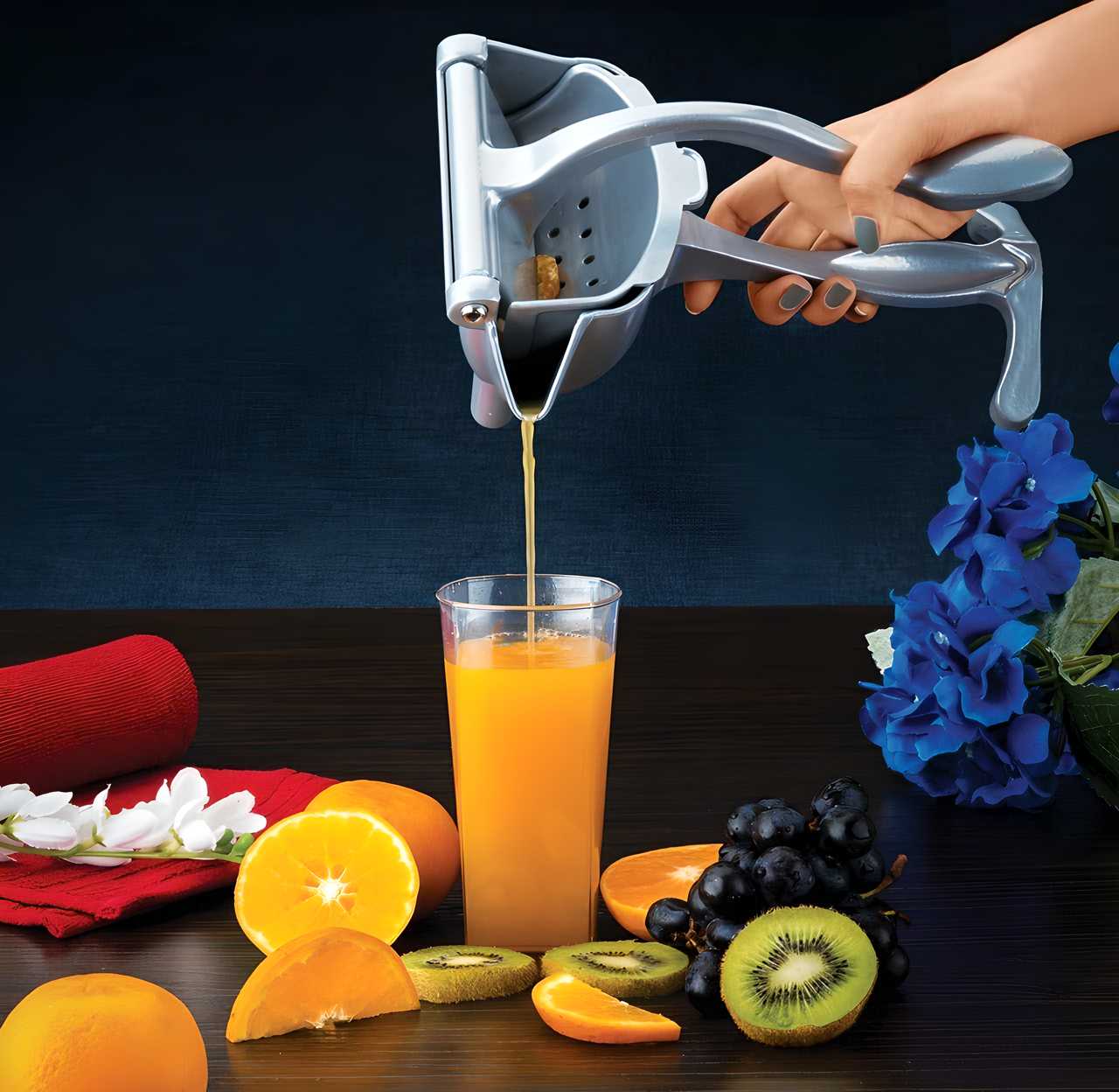 Aluminum Fruit Juicer