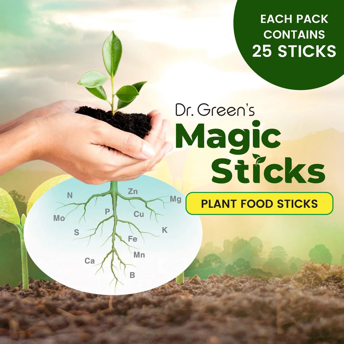 Magic Plant Sticks