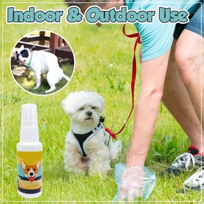 Natural Potty Training Spray for Dog & Cat (BUY 1 GET 1 FREE)