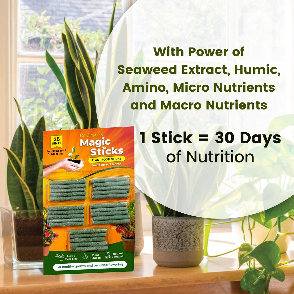 Magic Plant Sticks