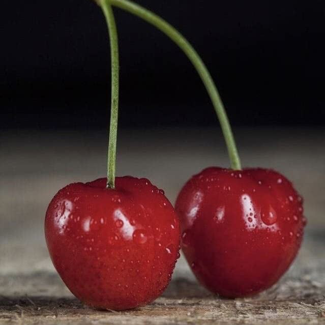 Rainier Cherry Fruit Seeds